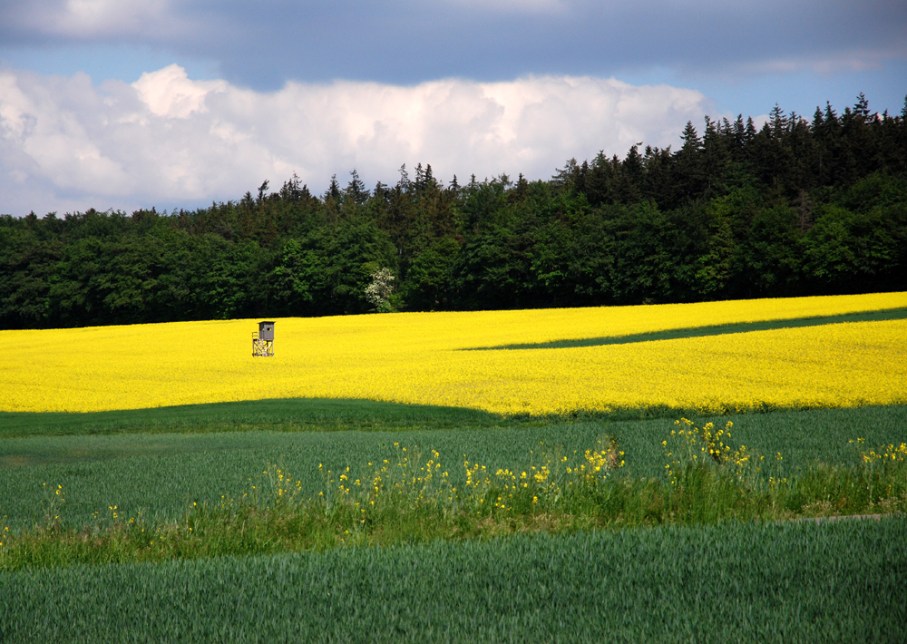 Watchtower in the field