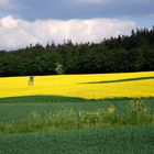 Watchtower in the field