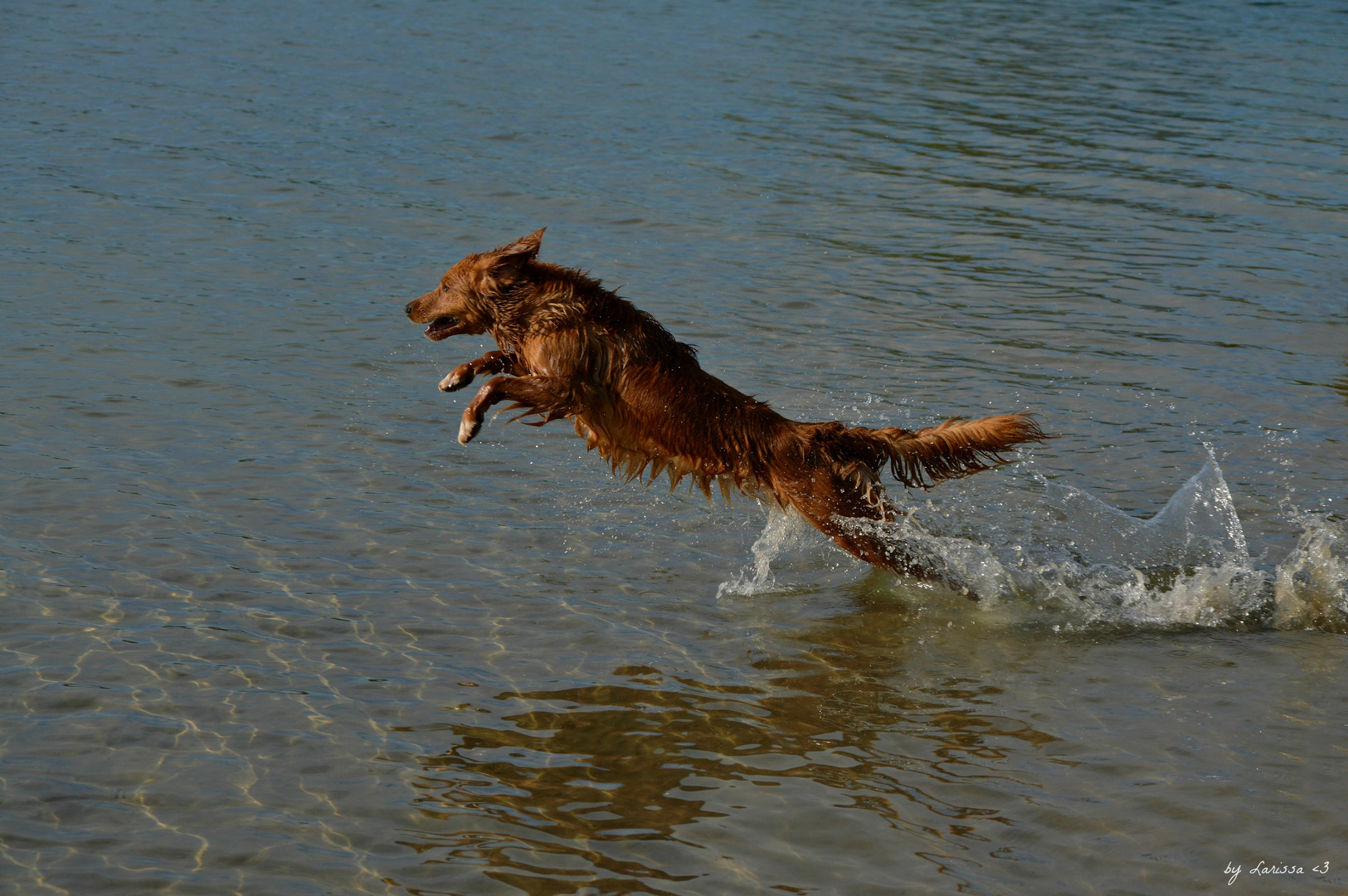 Water Adventures