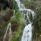 water and green