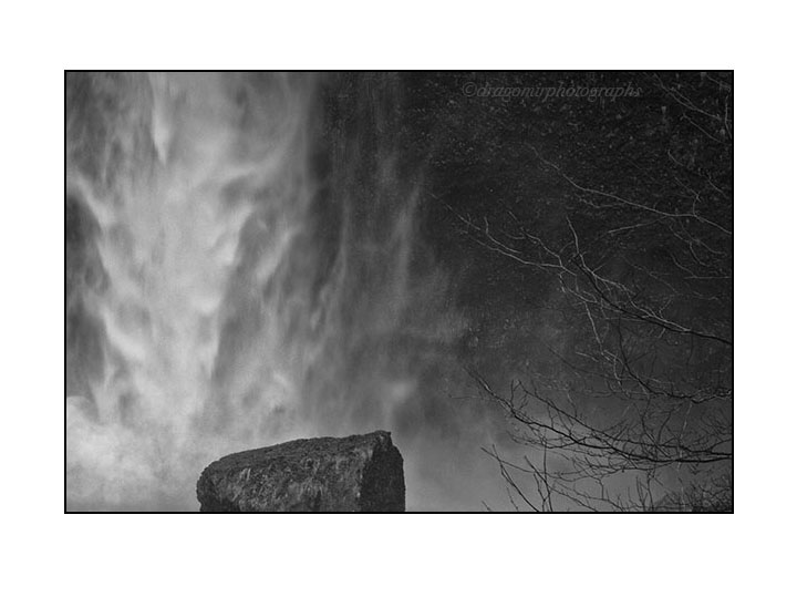 Water And Rock And Tree