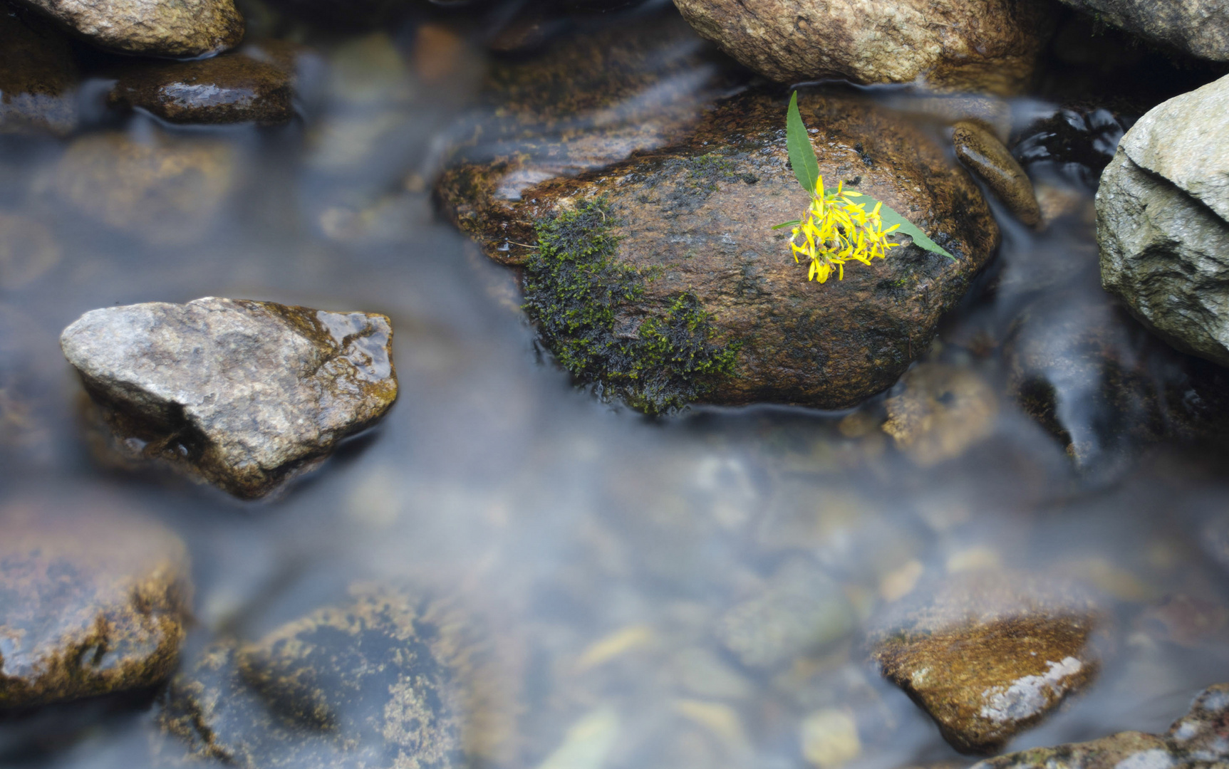 water and rocks 2