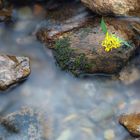 water and rocks 2