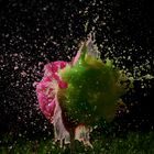 Water balloons splashing