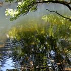 water circles