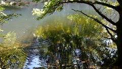 water circles