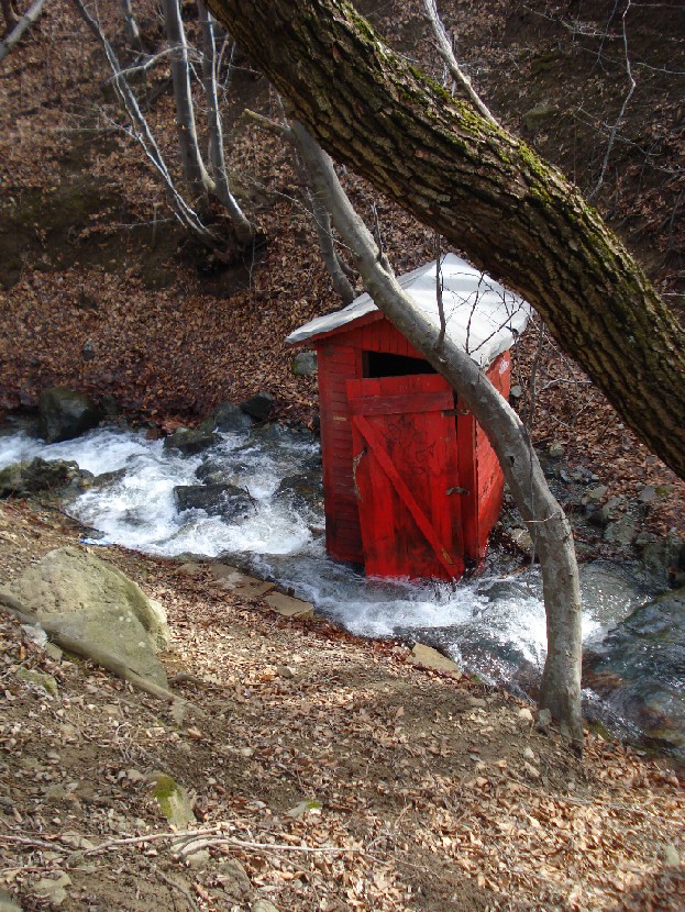 water-closet