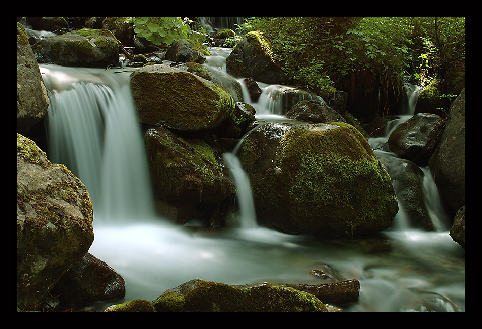 Water Dreams