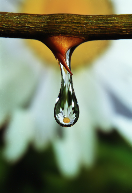 Water drop-1