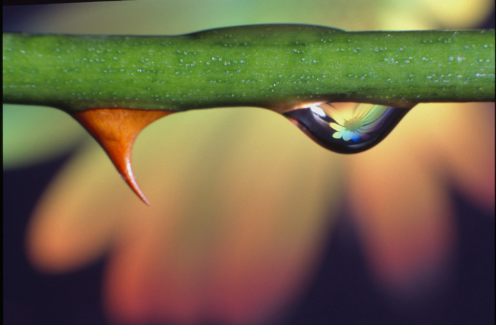 Water drop - 2