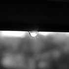 water drop