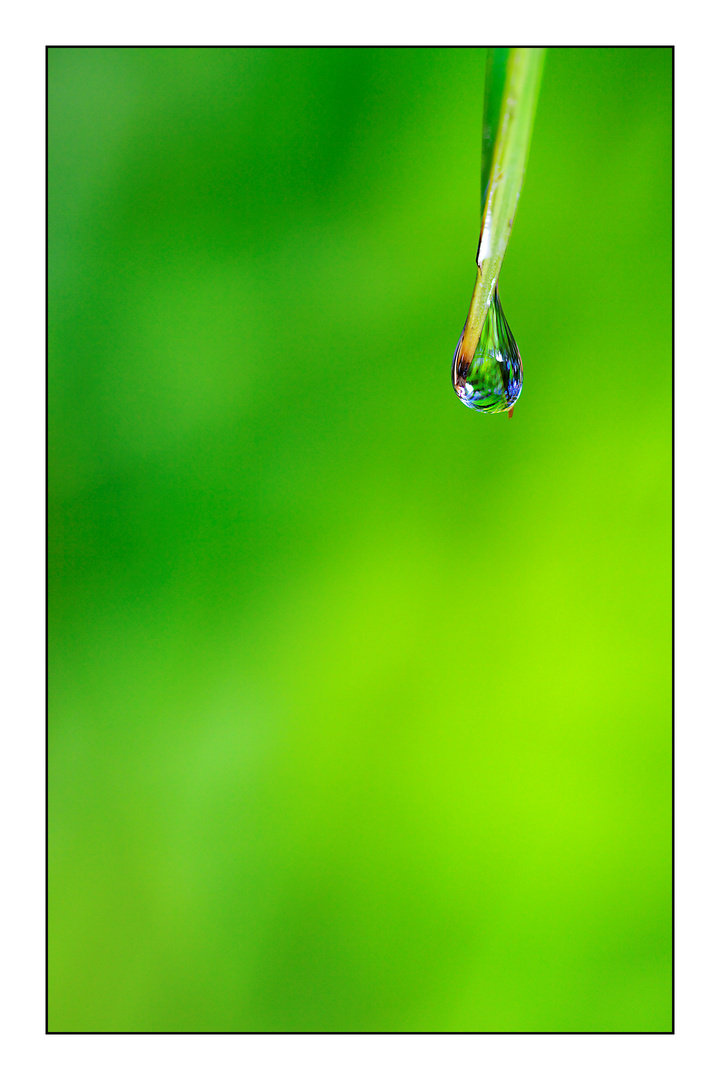 Water Drop