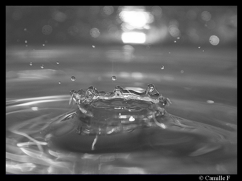 Water Drop