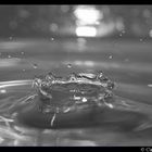 Water Drop