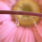 Water drop