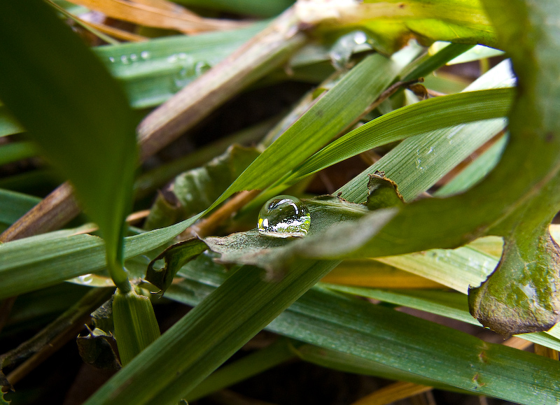 water drop