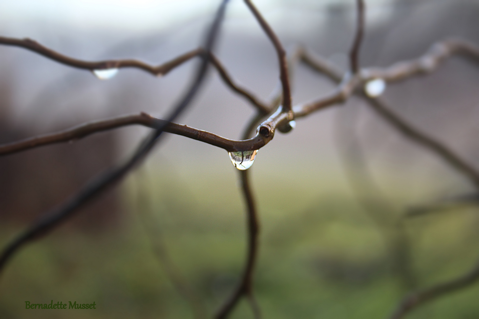 Water drop