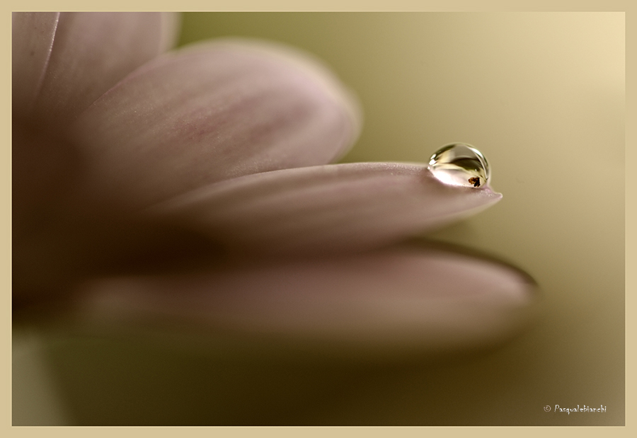 water drop