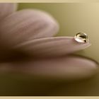 water drop