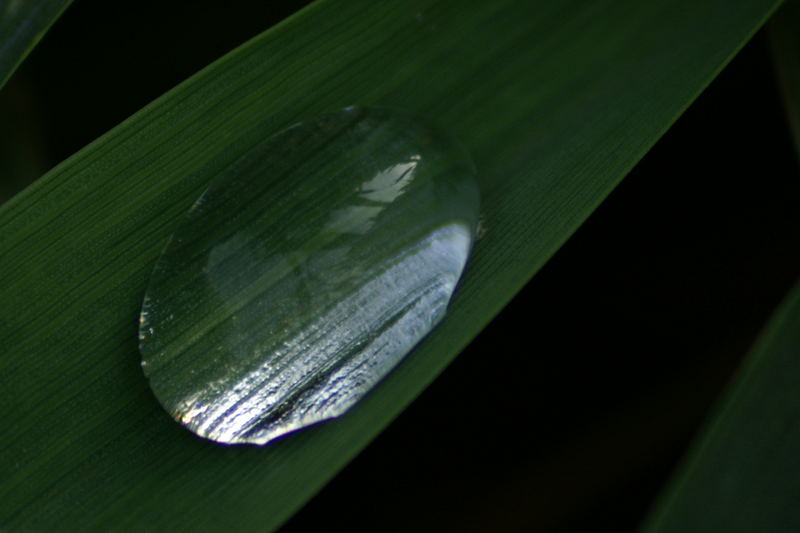 Water Drop