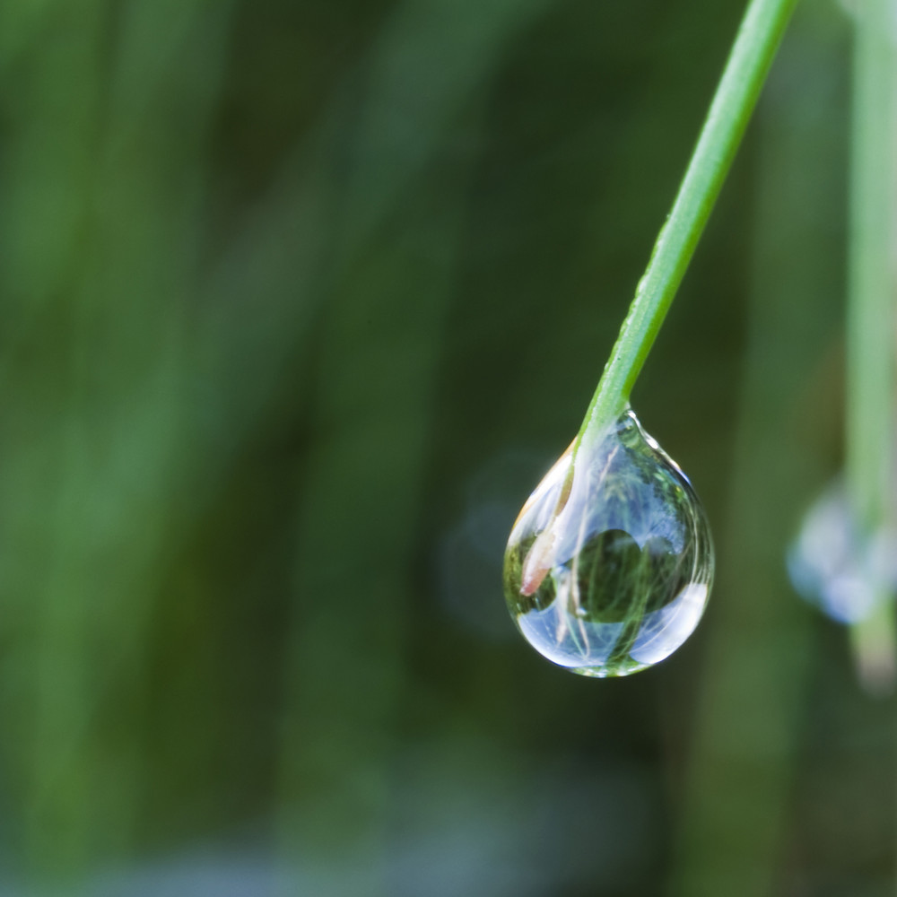 Water drop macro photo image technics macros nature Water drop macro photo image technics macros nature