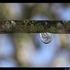 Water Drop Nature