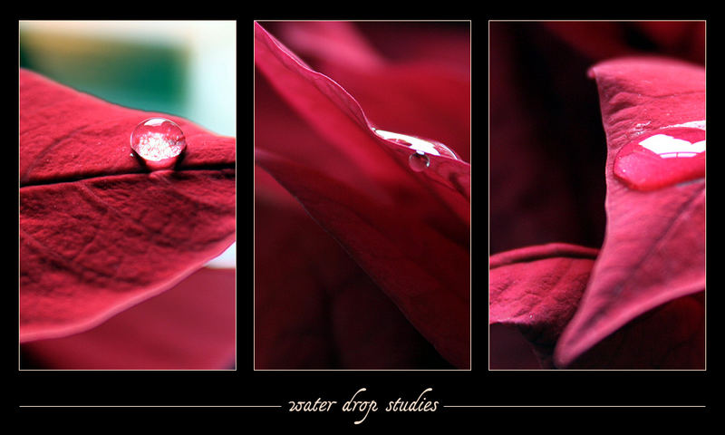 water drop studies