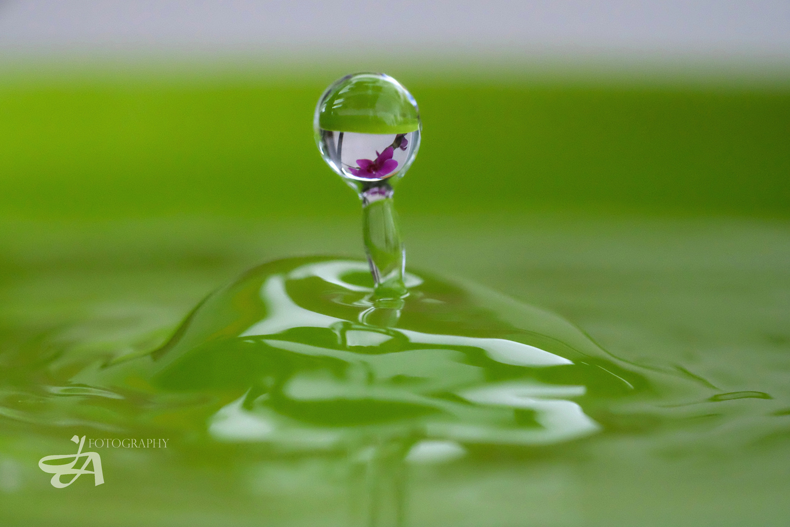 Water drop with reflected Orchid