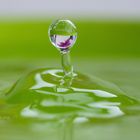 Water drop with reflected Orchid