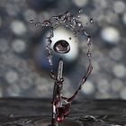 Water droplet splash