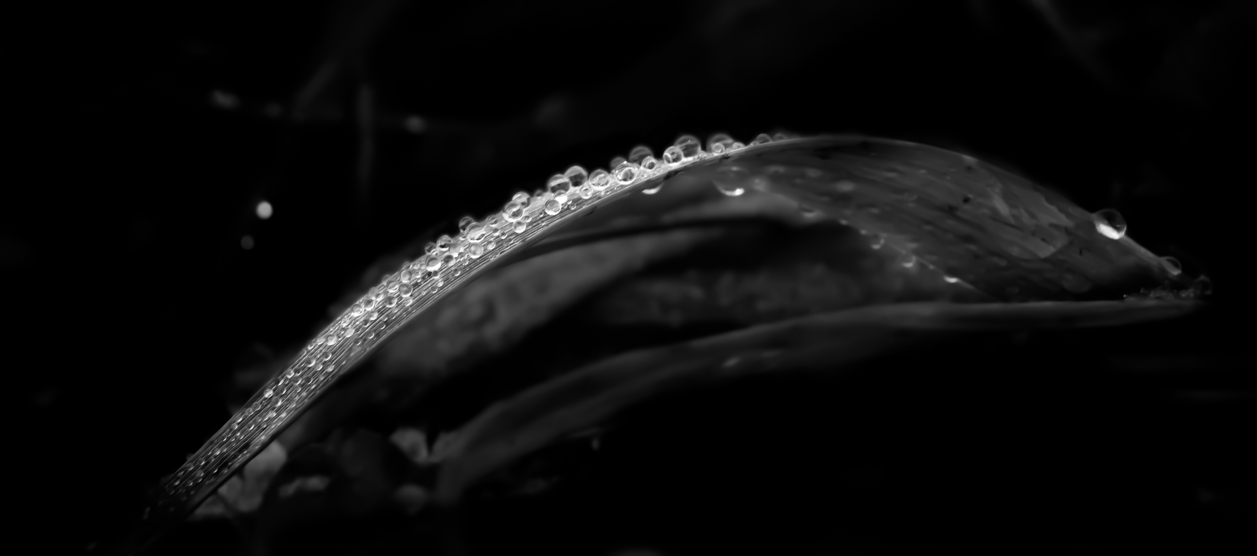 water drops