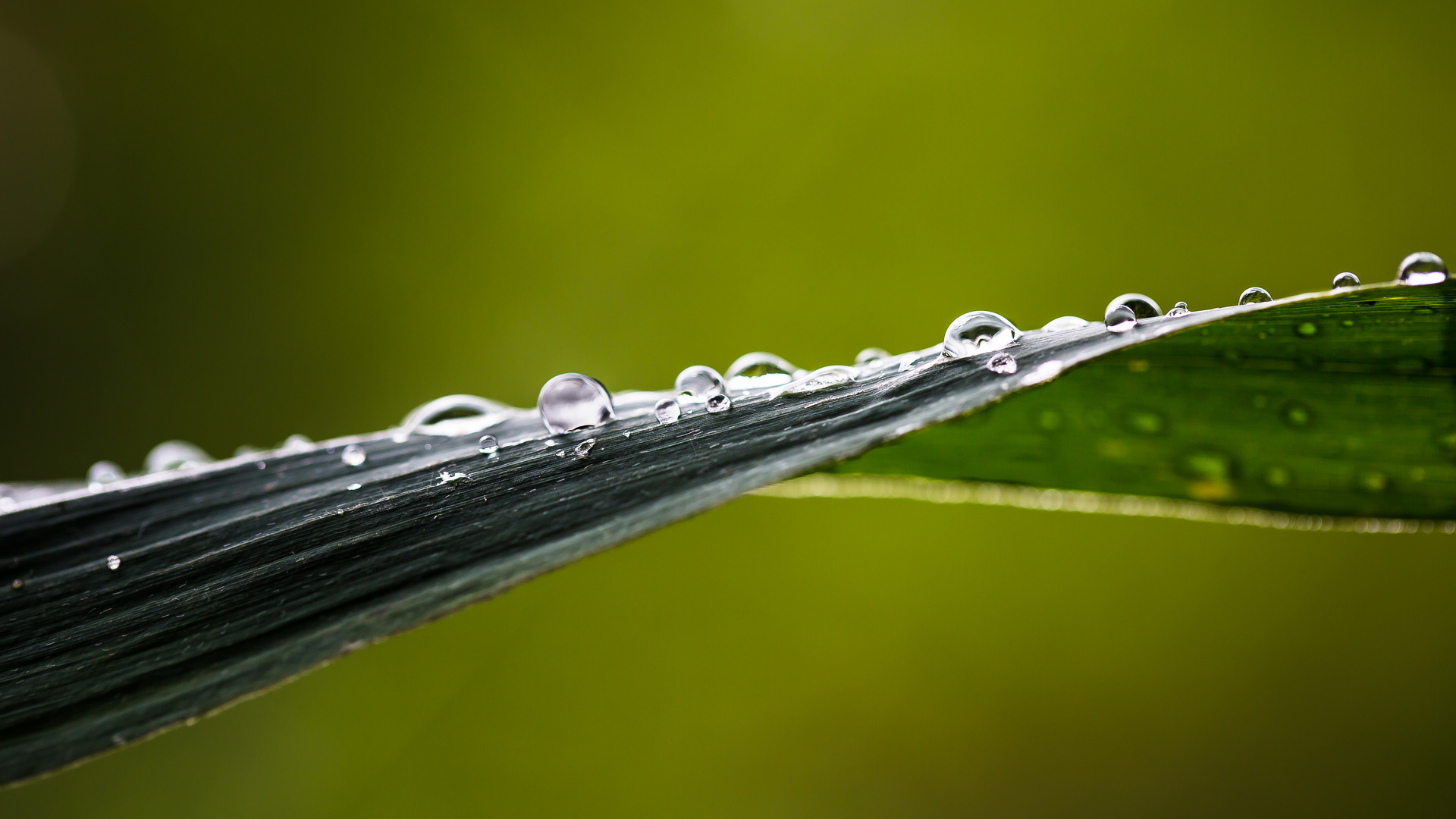 water drops 4