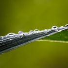 water drops 4