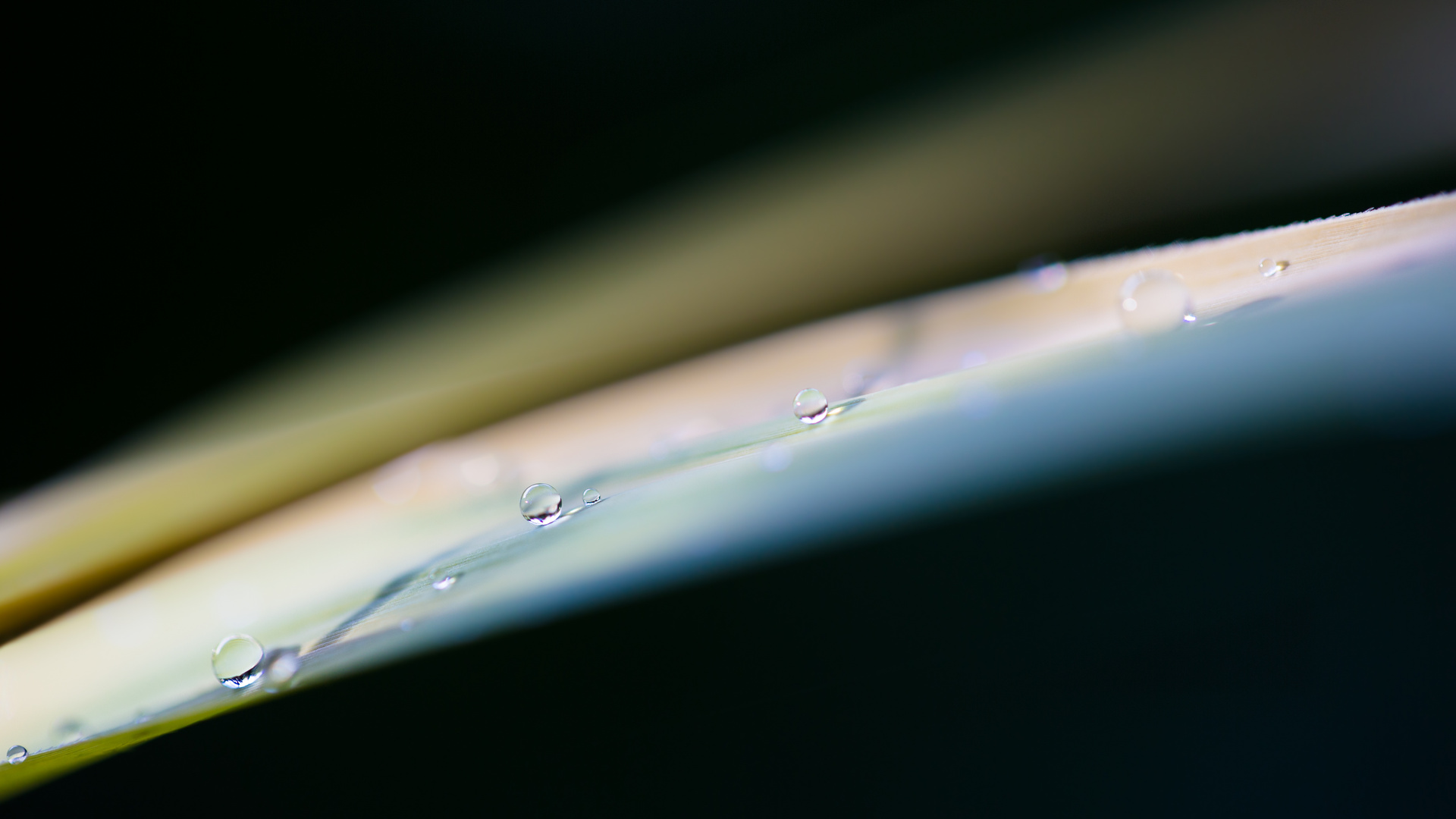 water drops 6