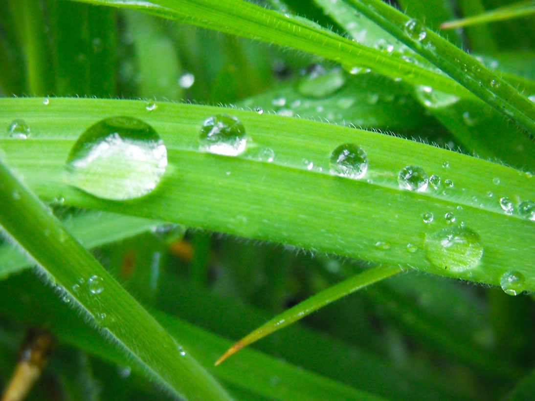 water drops