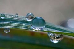 Water-drops