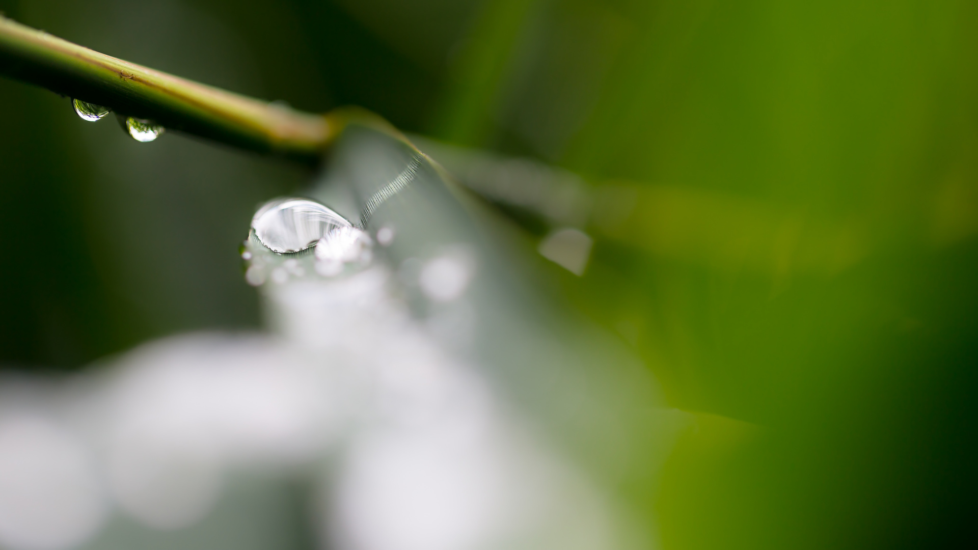 water drops