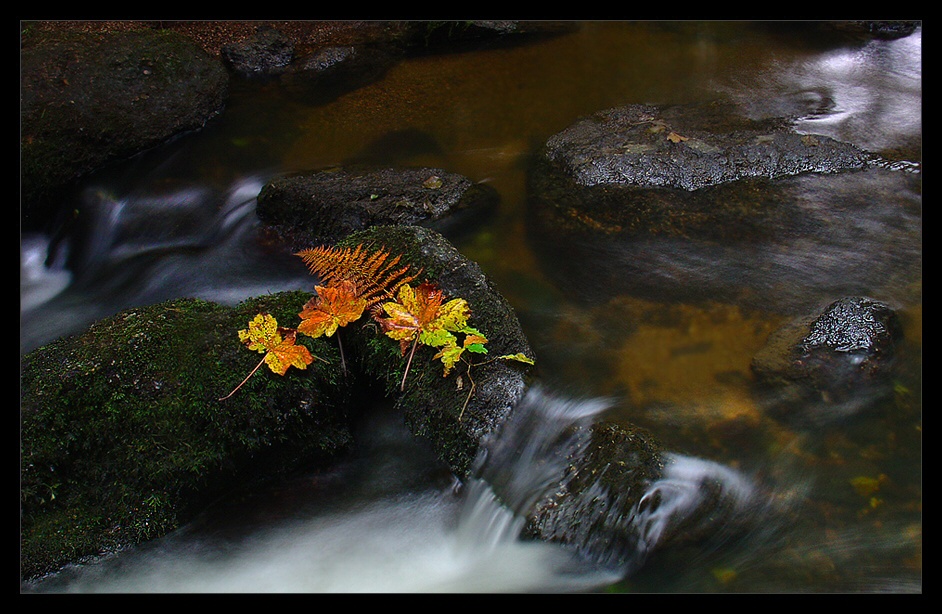 « Water - Fall »