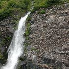 Water Falls at Rookery