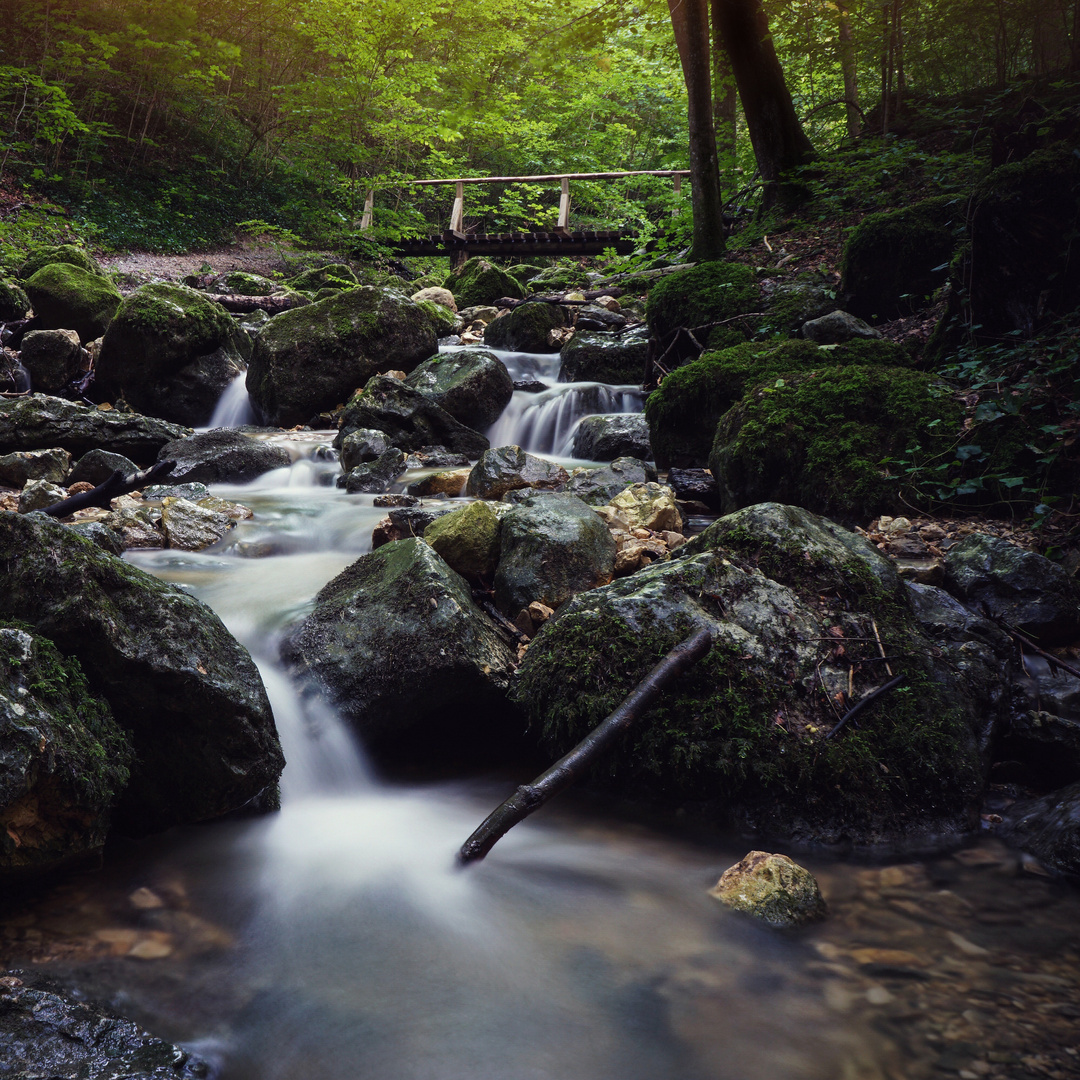 Water flow (Zipfelbach)