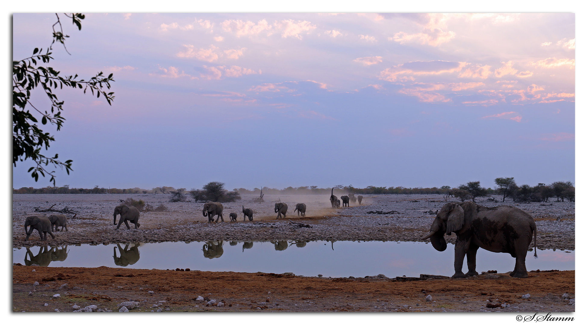 Water for Elephants 2