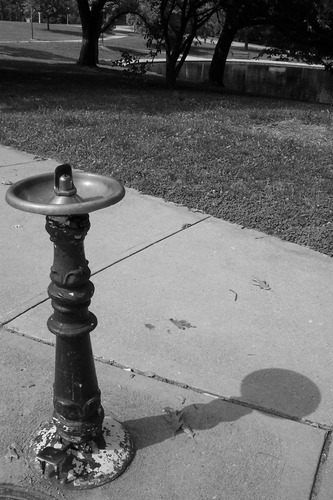 Water Fountain