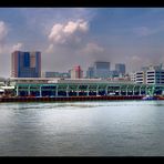 Water Front of Tokyo