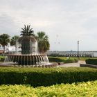 Water Front Park Charleston