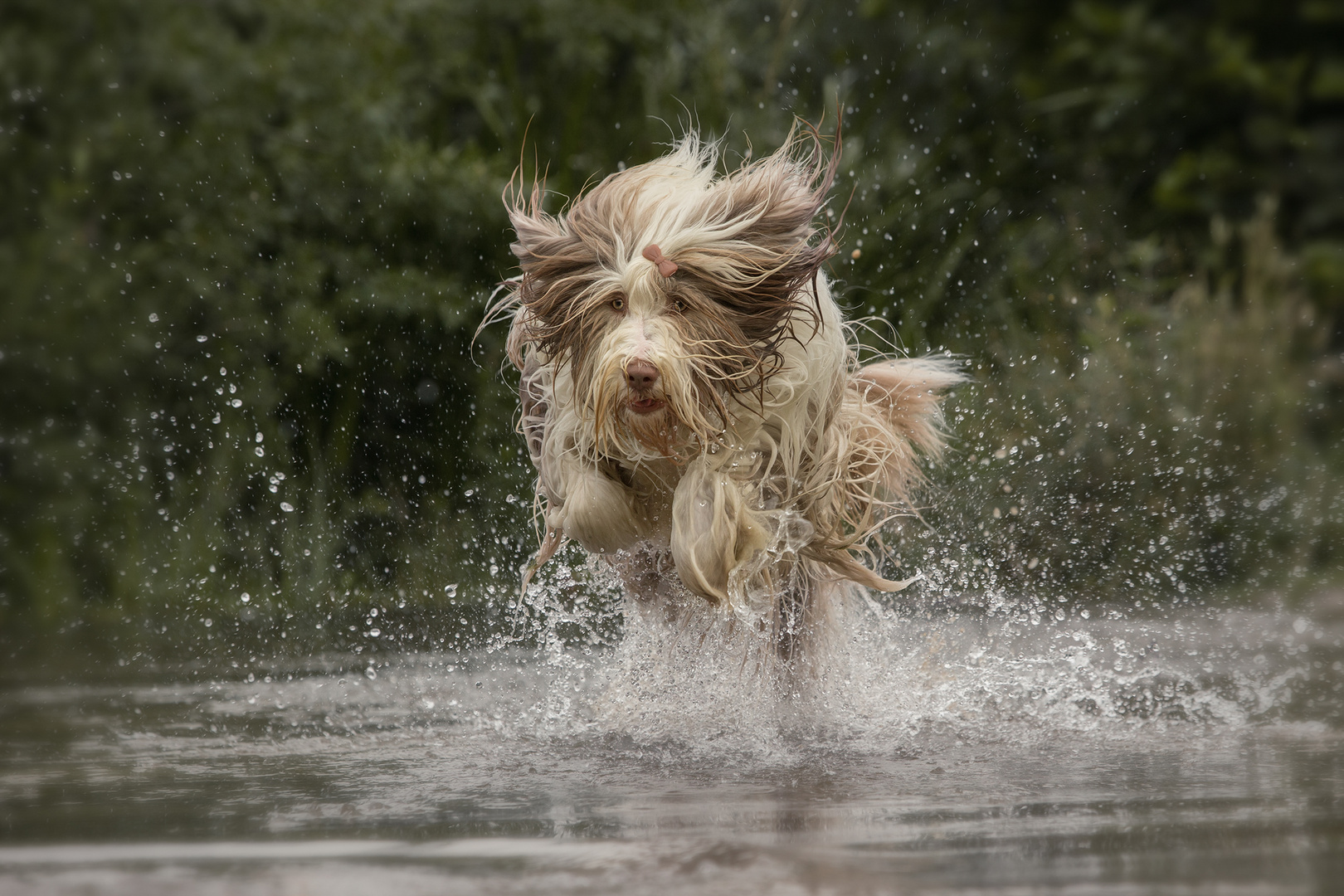 water games