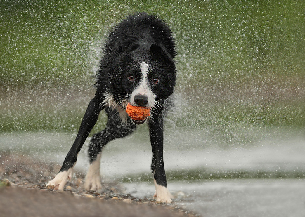 WATER GAMES