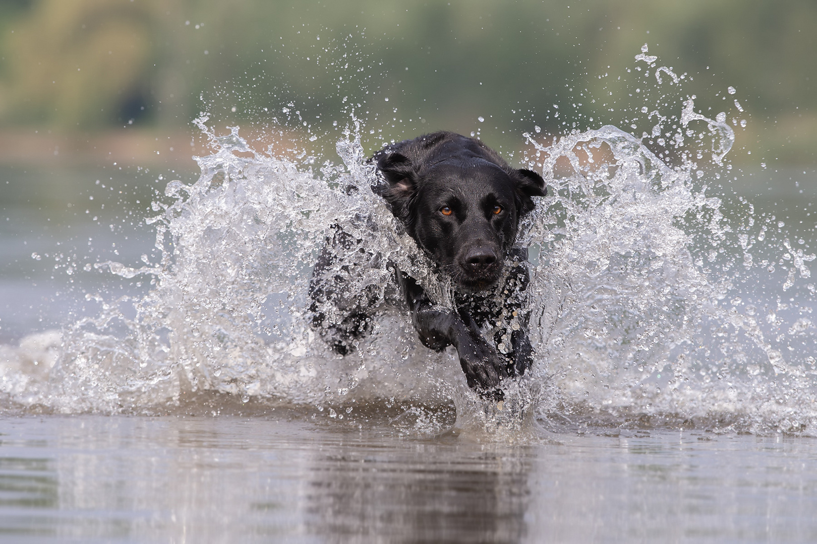 Water Games