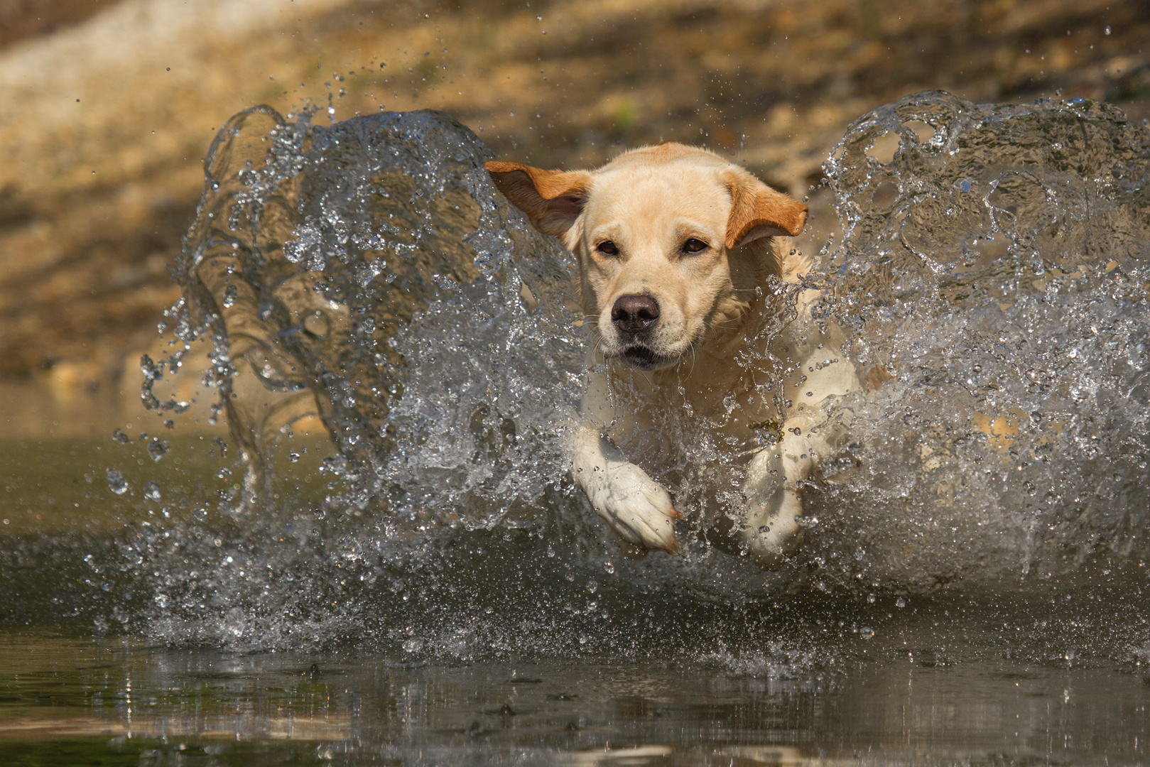 Water Games