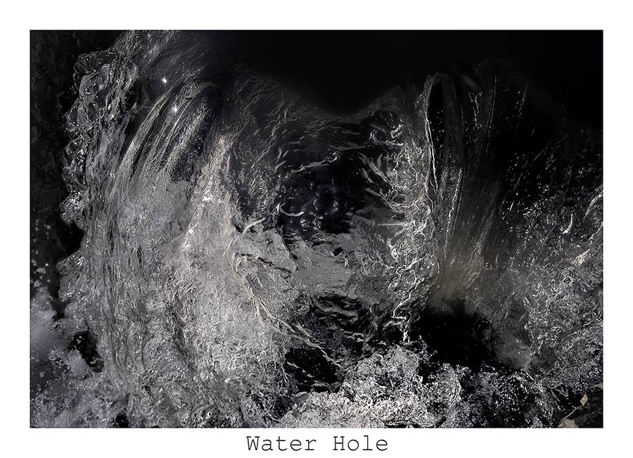 Water Hole