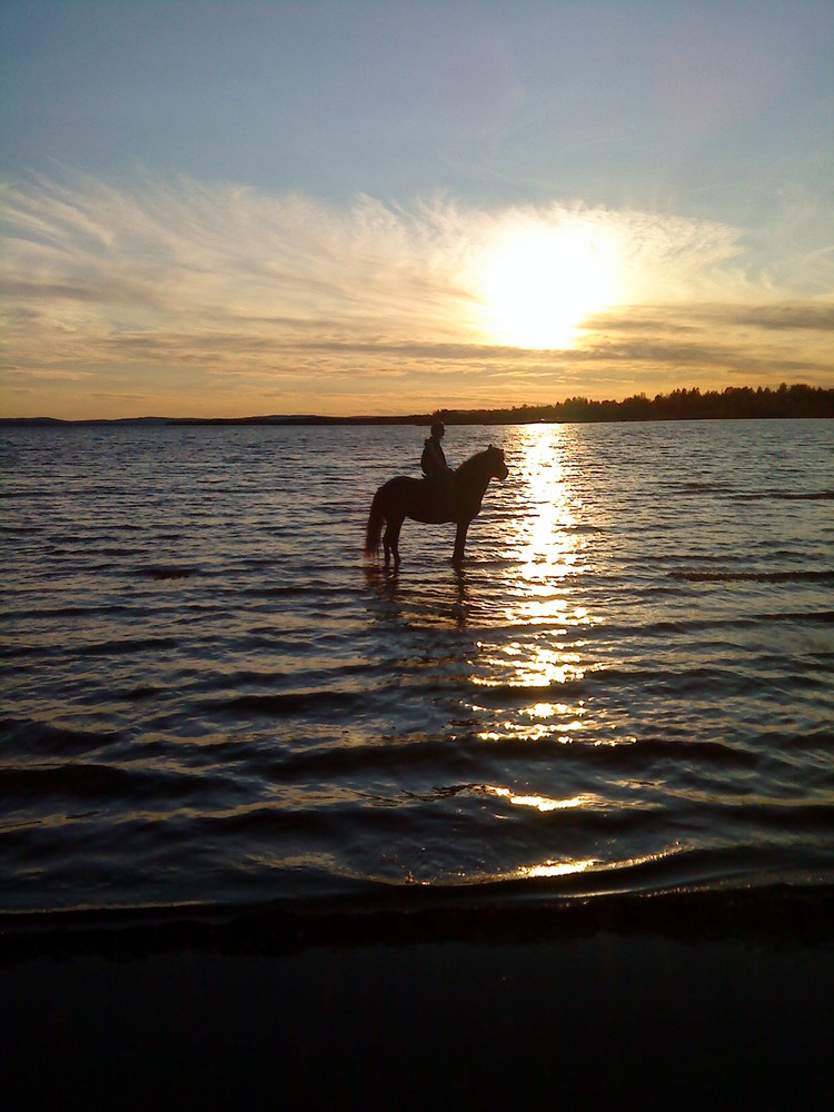 Water horse